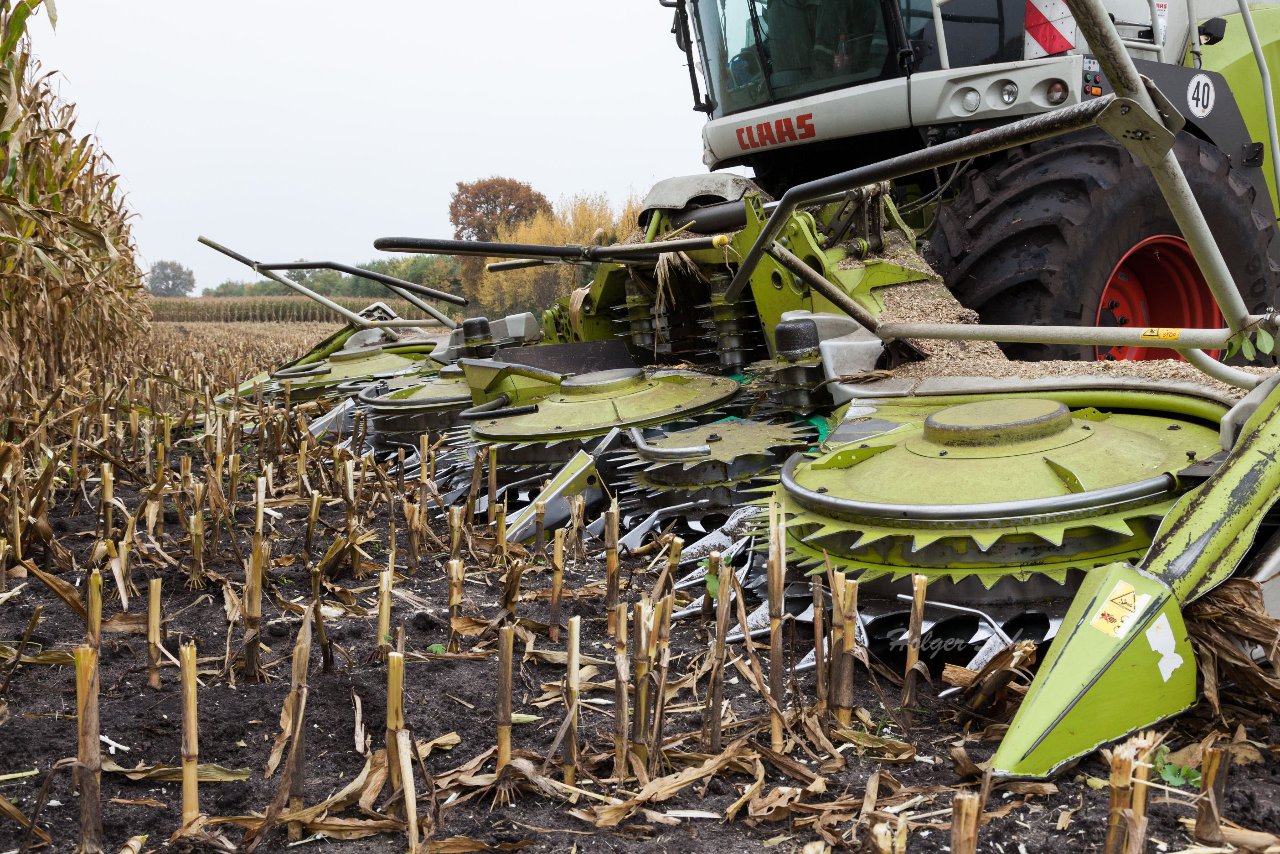 Bild 45 - Maisernte am 22.10.12